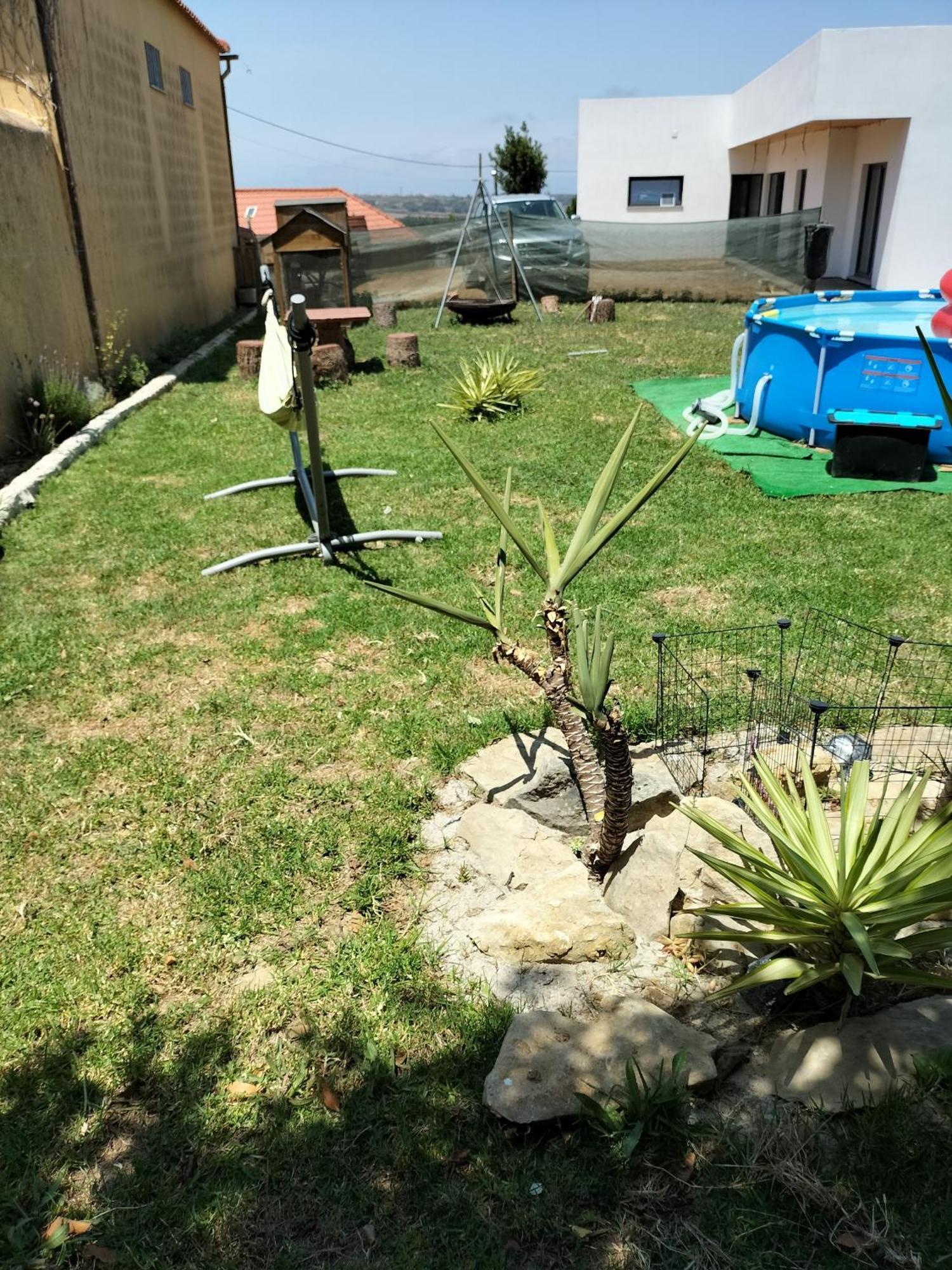 劳林哈 Dinocamp旅馆 外观 照片